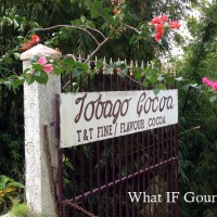 Tobago Cocoa Estate & Trinitario Chocolate
